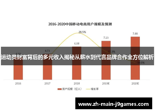 运动员财富背后的多元收入揭秘从薪水到代言品牌合作全方位解析