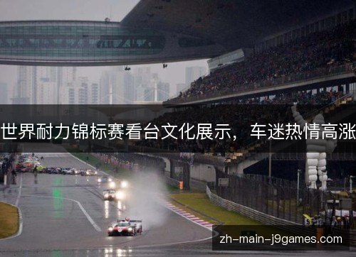 世界耐力锦标赛看台文化展示，车迷热情高涨